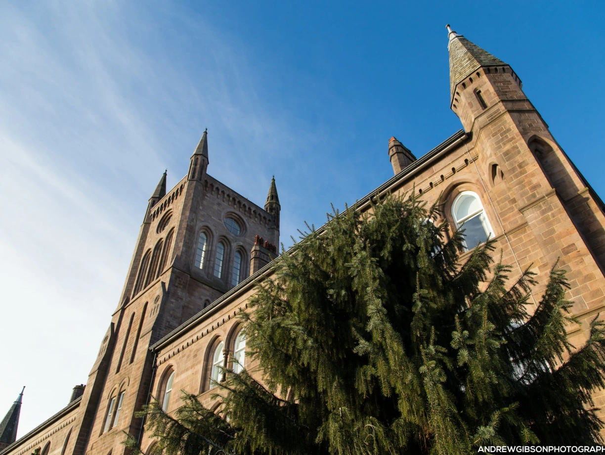 A large historic building features pointed towers and detailed stonework, with a green tree in the foreground. The sky is clear and blue, enhancing the architectural details of the structure.