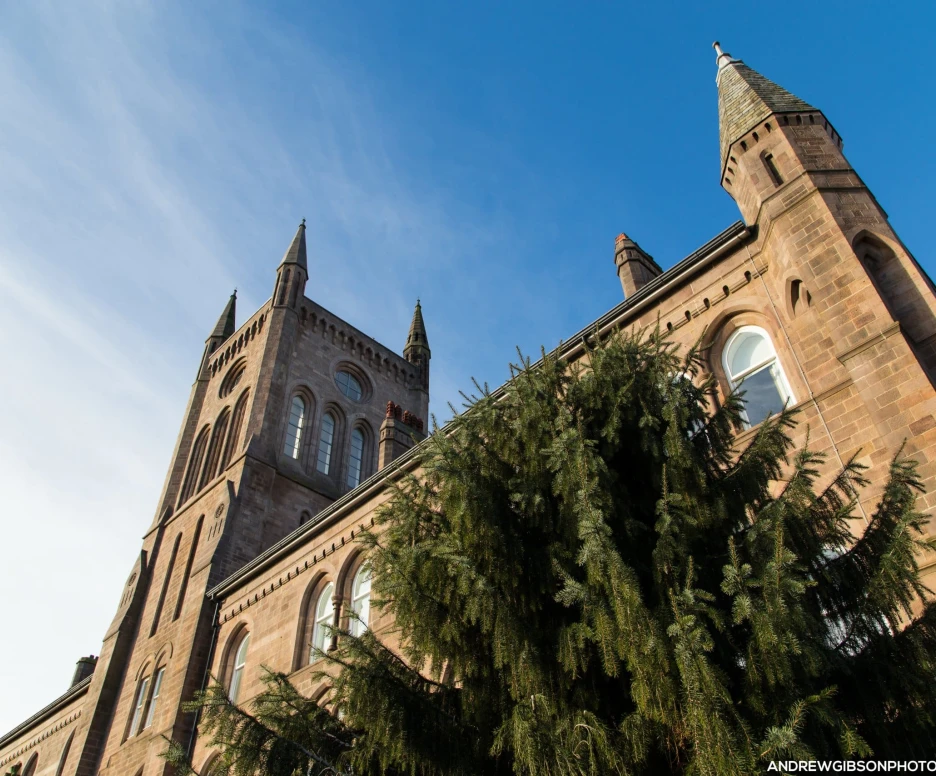A large historic building features pointed towers and detailed stonework, with a green tree in the foreground. The sky is clear and blue, enhancing the architectural details of the structure.