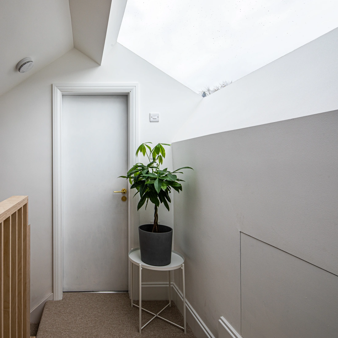 Bright hallway with a sloped ceiling, featuring a closed white door, a small potted plant on a round table, and wooden railing. Natural light filters in through a skylight.