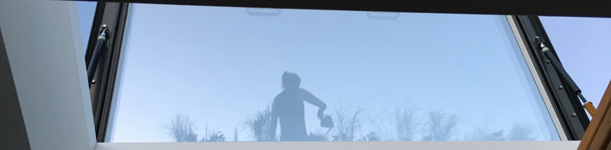 A person's silhouette is visible against a skylight, with plants in the background and a clear blue sky. The view is from inside a room, looking upward.