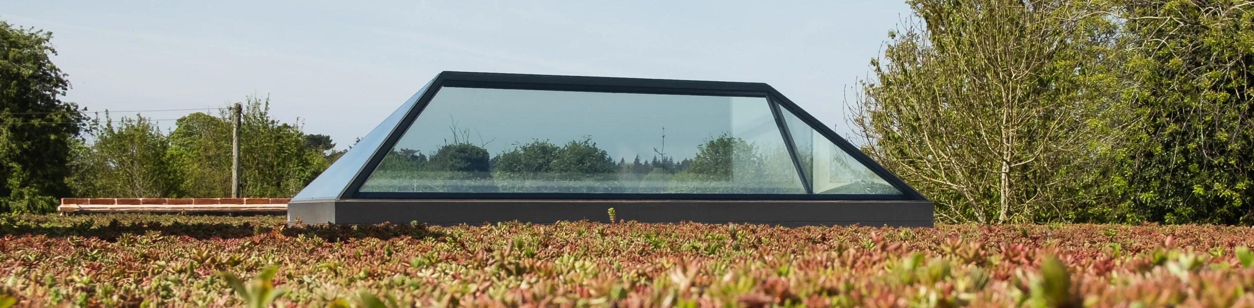 Une structure moderne en verre et métal se dresse au milieu d'un paysage verdoyant, entourée de plantes basses et colorées, sous un ciel bleu clair.