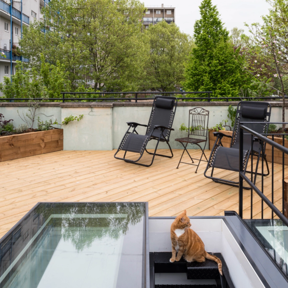 A rooftop garden featuring wooden decking, two black lounge chairs, a small table, and a cat sitting near a set of stairs that lead to a lower level. Lush greenery surrounds the area with buildings in the background.