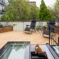Terraza con piso de madera, dos sillas reclinables negras y una mesa. Hay un gato anaranjado sentado cerca de la entrada de una escalera. En el fondo, se ven árboles y edificios.